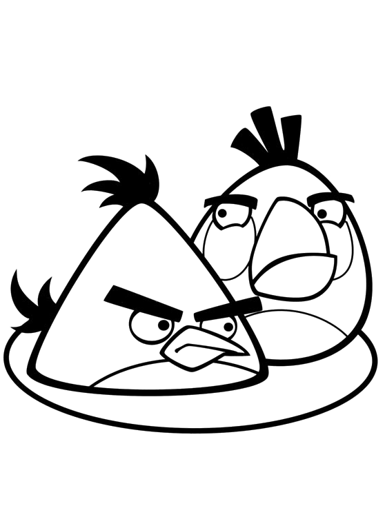 Angry Birds - Chuck e Matilda are angry