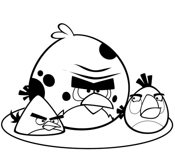 Angry Birds - Terence Matilda e Chuck are very angry