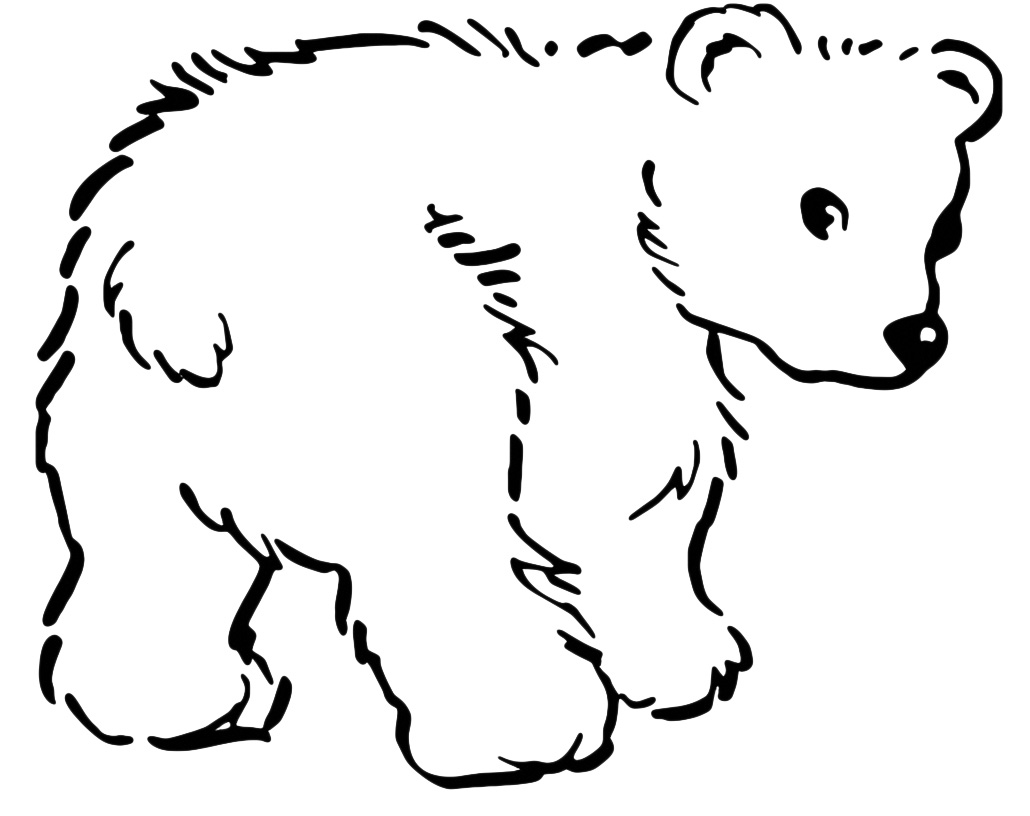 Animals - A bear cub