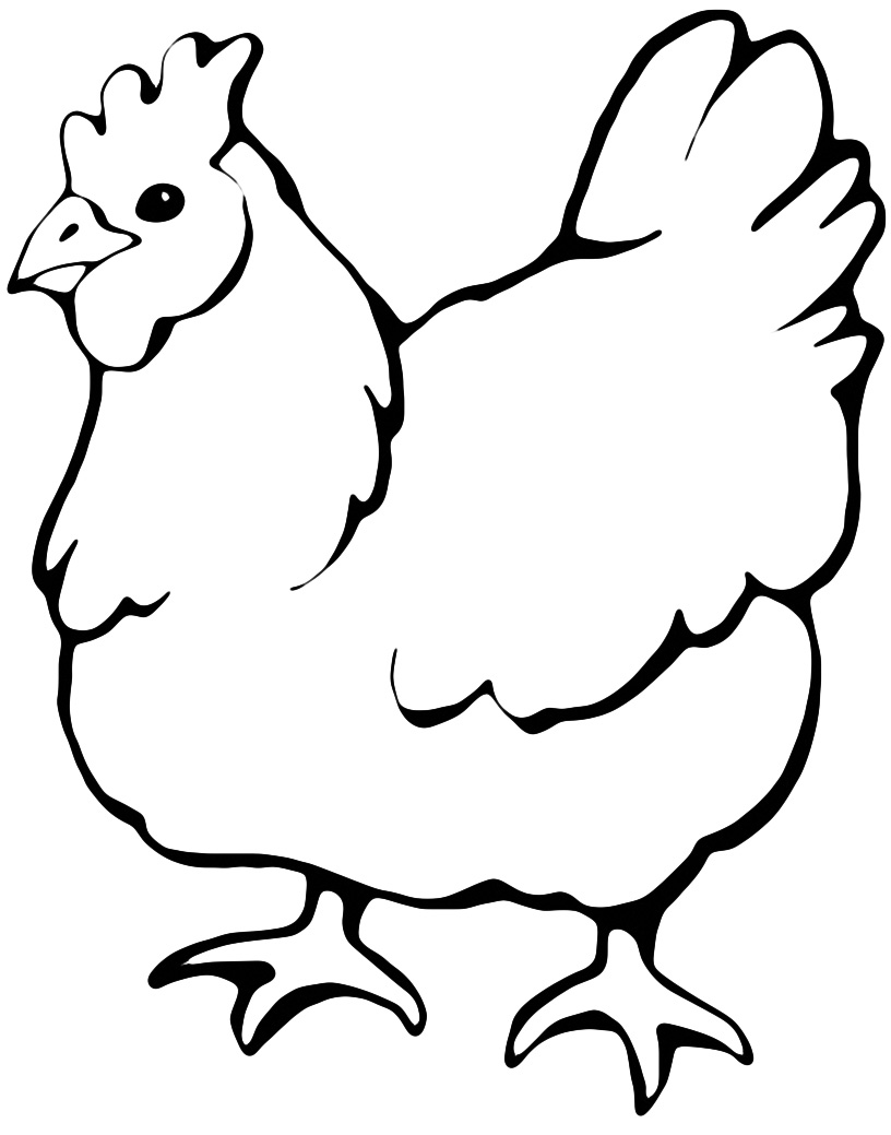 Animals - A big hen