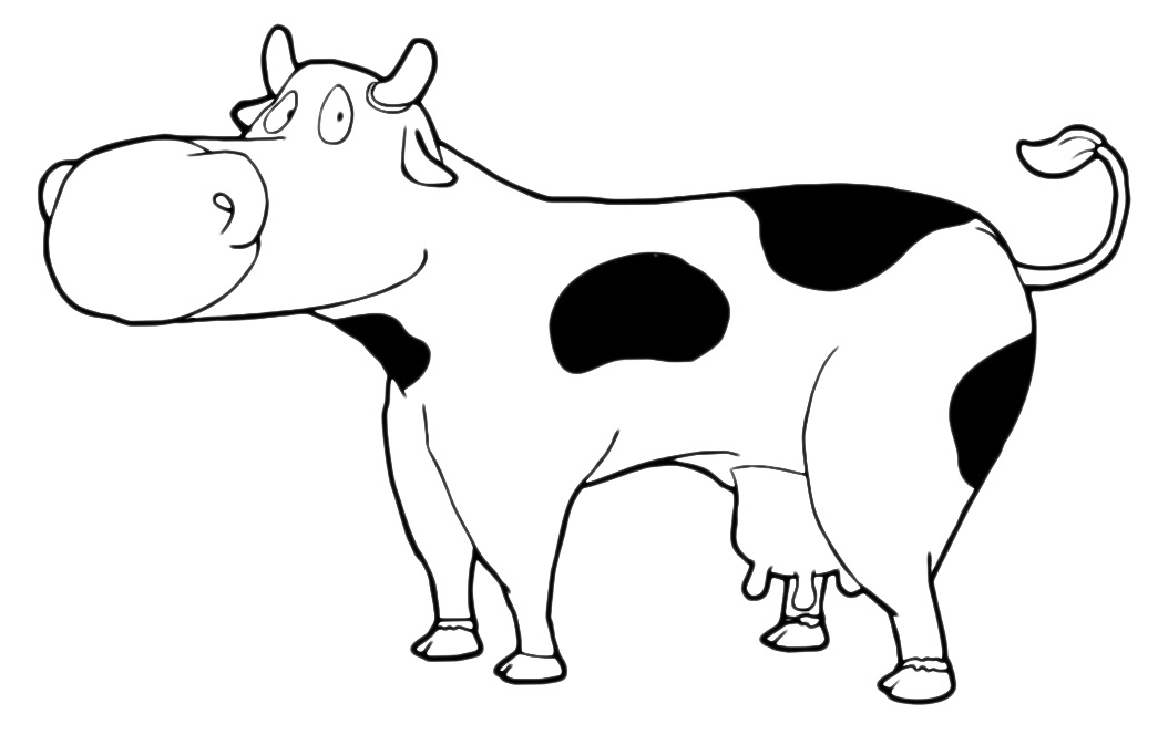 Animals - A cow with a big nose