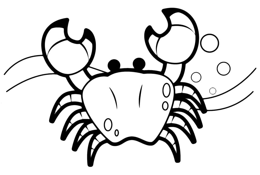 Animals - A crab on the seashore