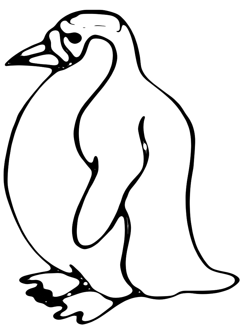 Animals - A fat penguin