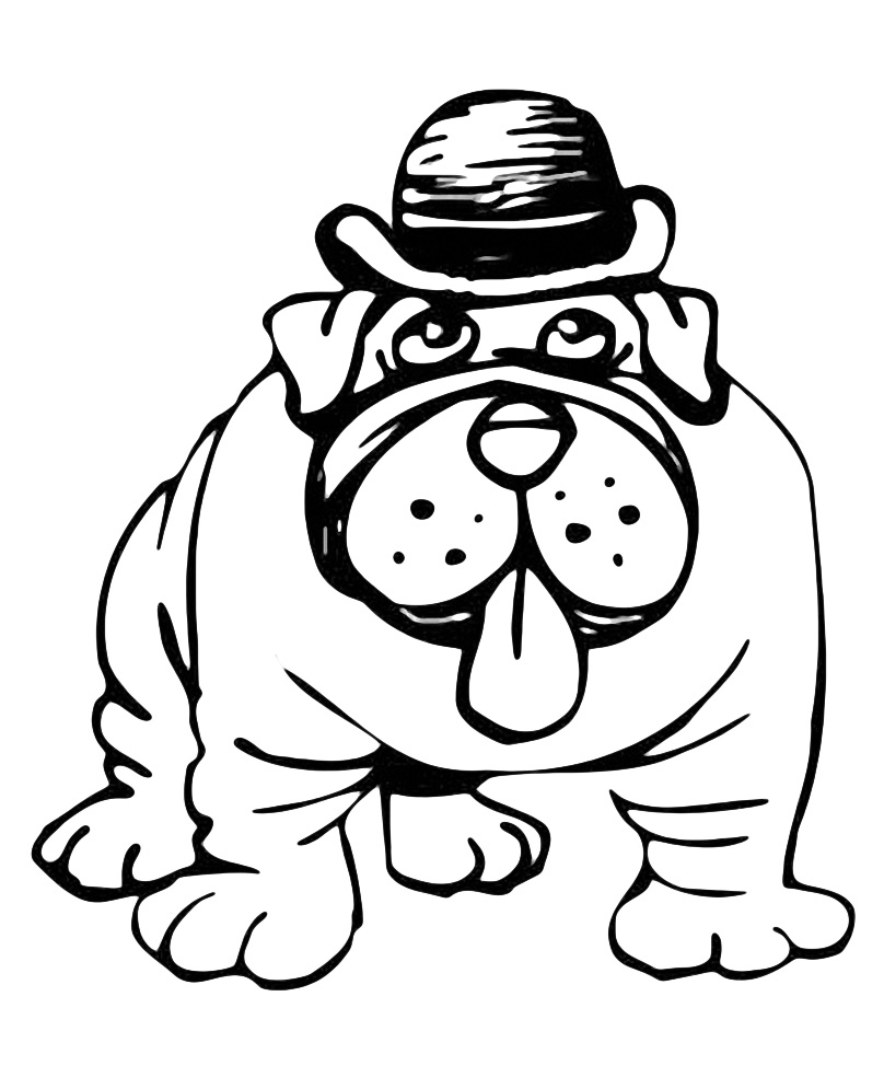 Animals - A funny bulldog wearing hat