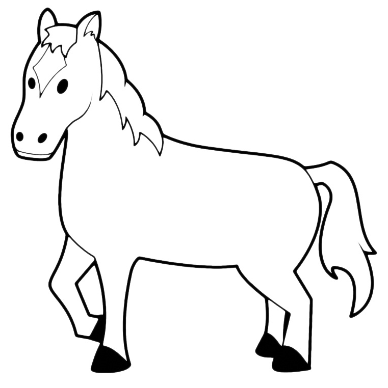 Animals - A little horse