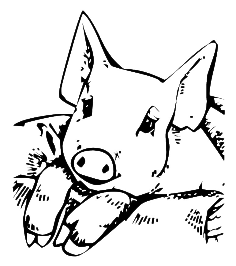 Animals - A little pig