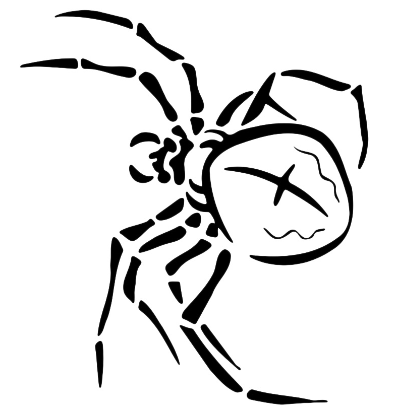 Animals - A poisonous spider