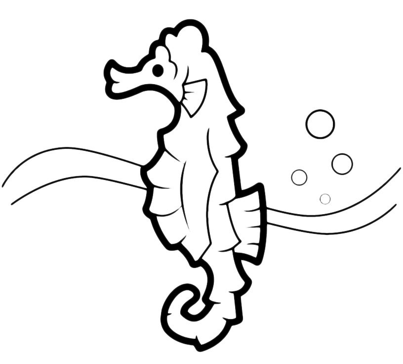 Animals - A seahorse under the sea