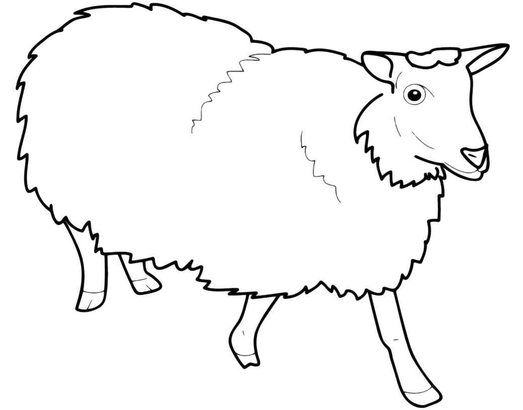 Animals - A sheep vaporous