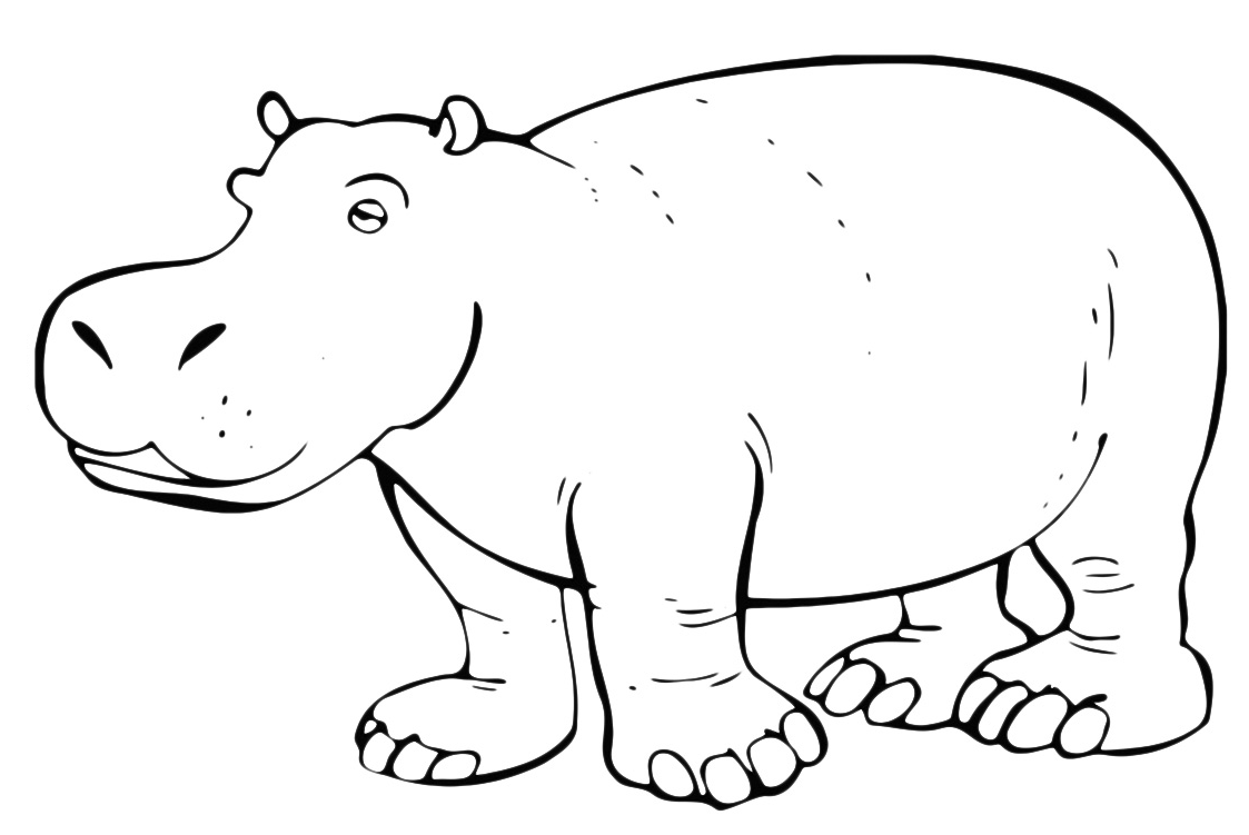 Animals - A sleepy hippo