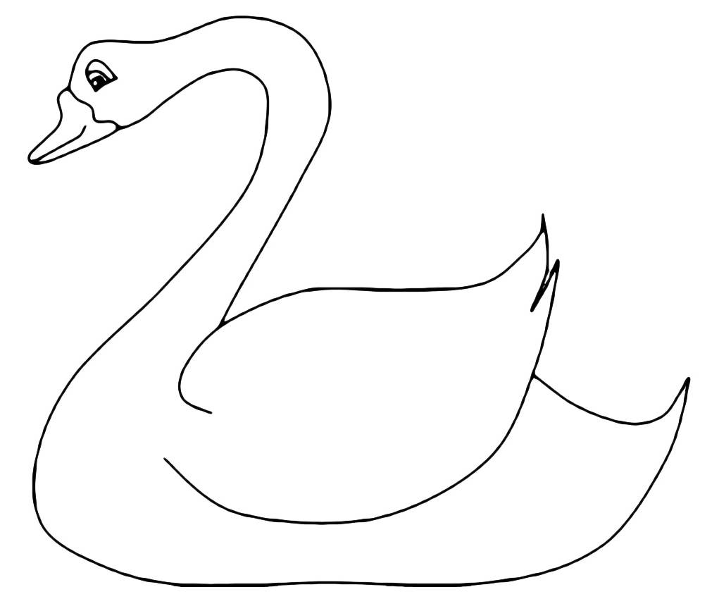 Animals - A swan with a very long neck