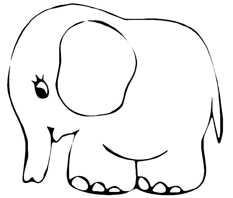 Animals - A sweet little elephant