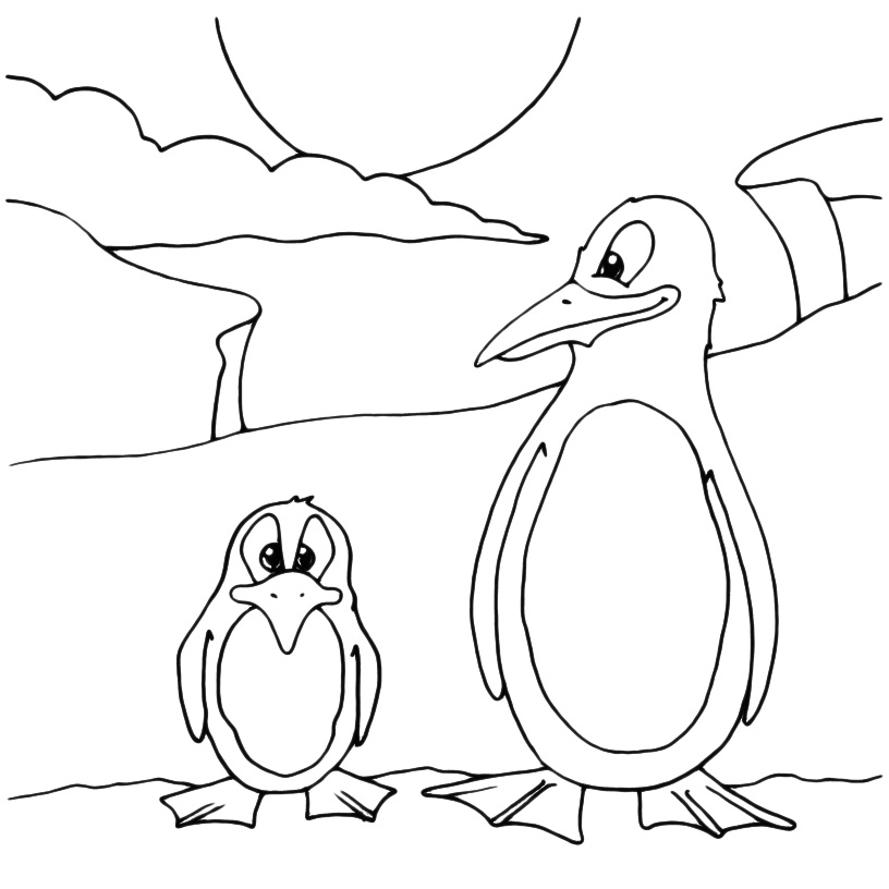 Animals - A tall penguin and a low penguin