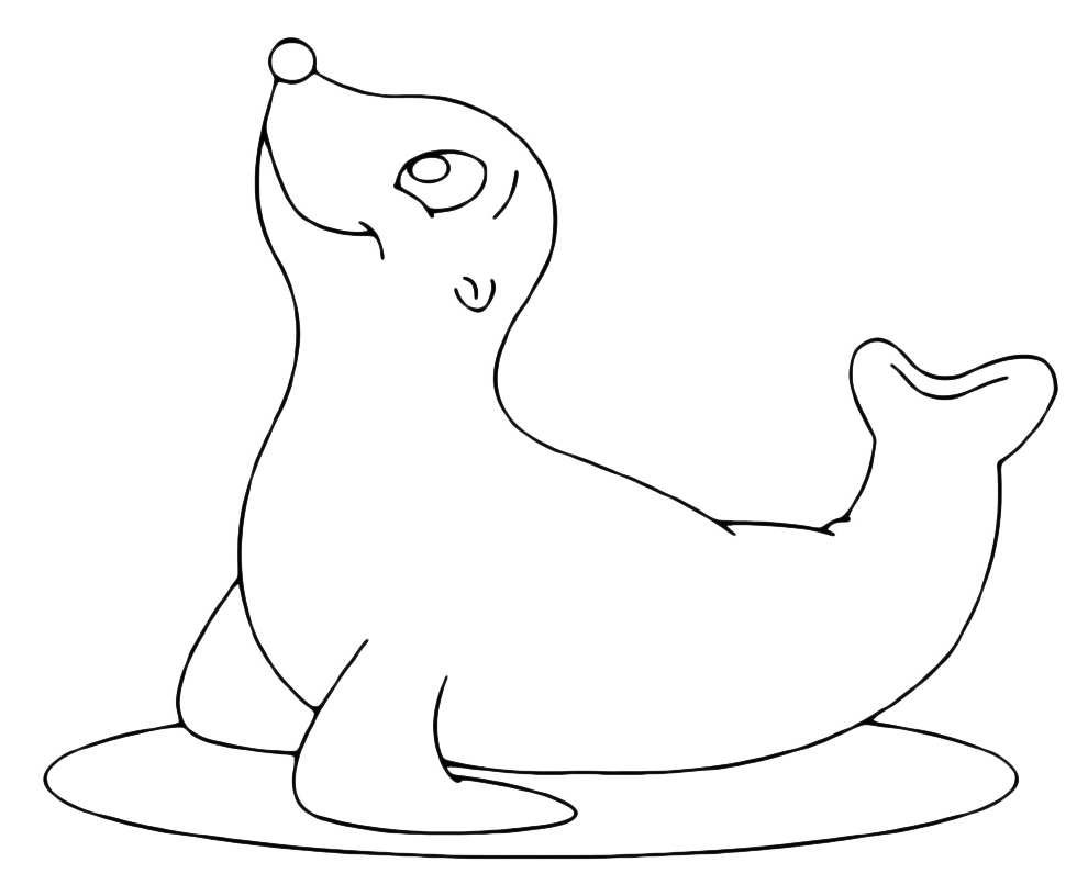 Animals - A very funny seal