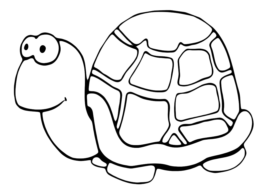 Animals - A very slow turtle