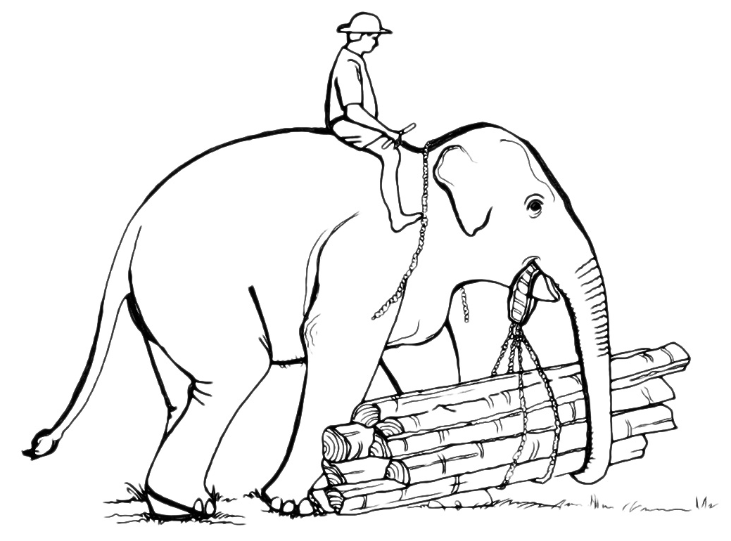 Animals - An elephant carries the wooden logs