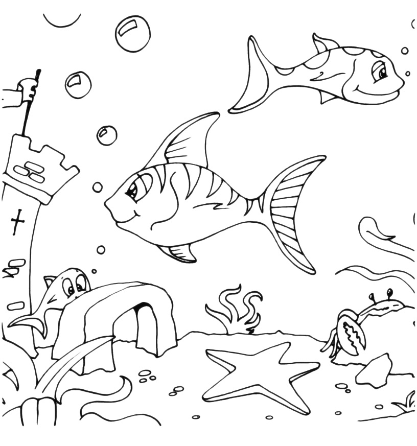 Animals - Fish swim on the seabed