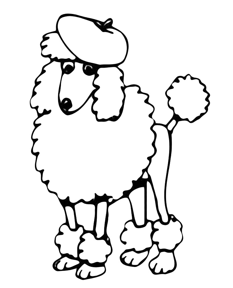 Animals - Poodle with hat
