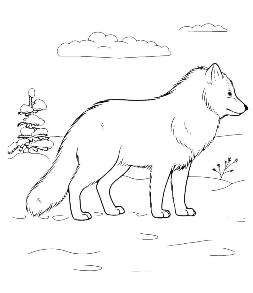 Samoyed Coloring Book : Funny Quotes and Freestyle Drawing Pages