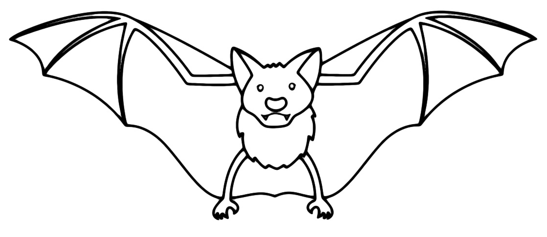 Animals - The bat with outstretched wings