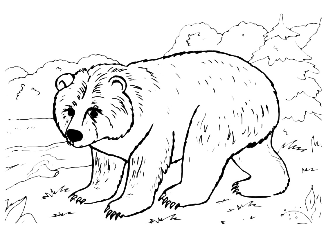 Animals - The bear walks on the mountain pastures