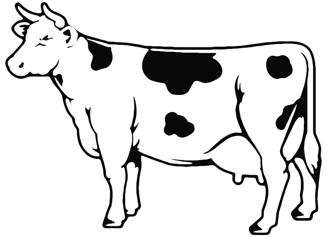 cow,cows,horns.