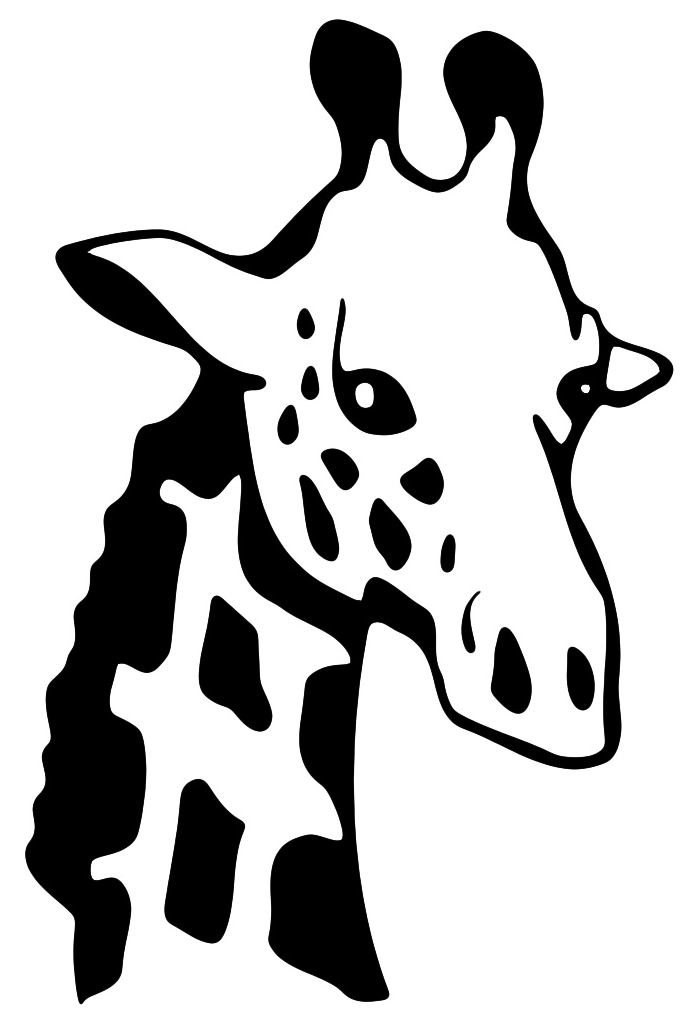 Animals - The head of a giraffe