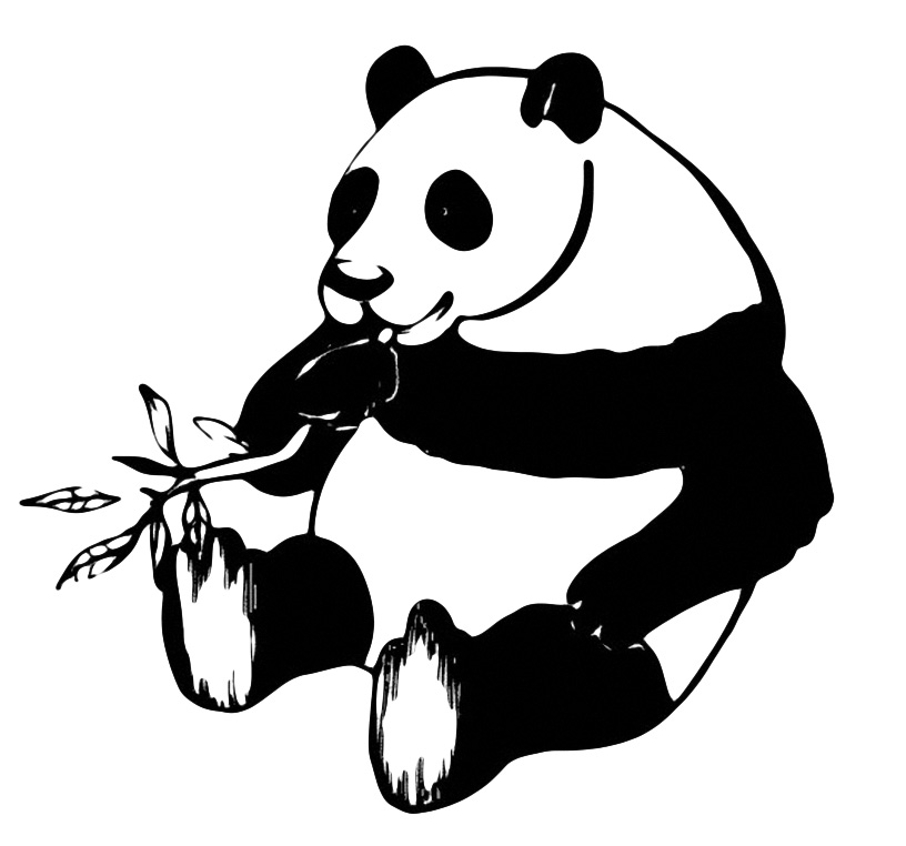Animals - The panda is eating bamboo
