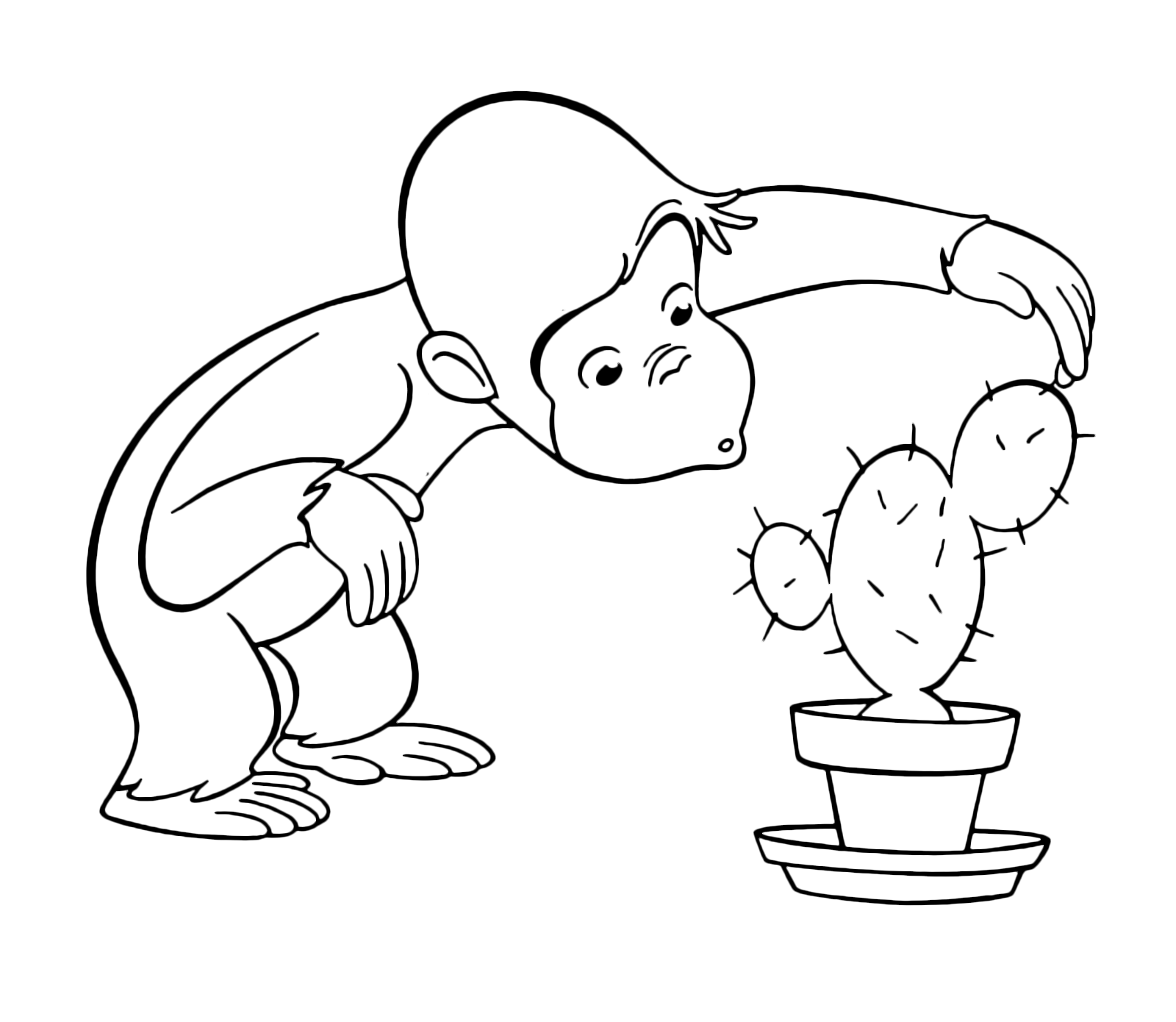 Curious George - George looks intrigued a cactus plant