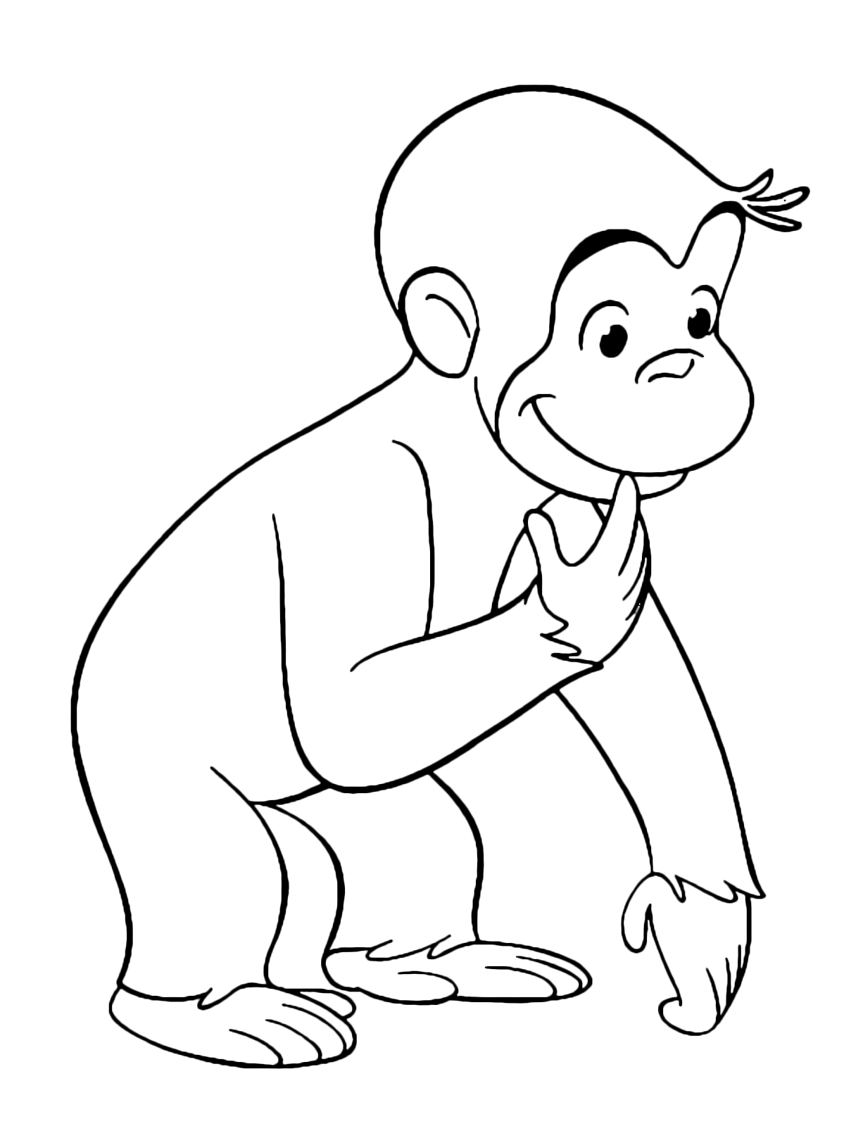 Curious George - George the monkey observes curiously
