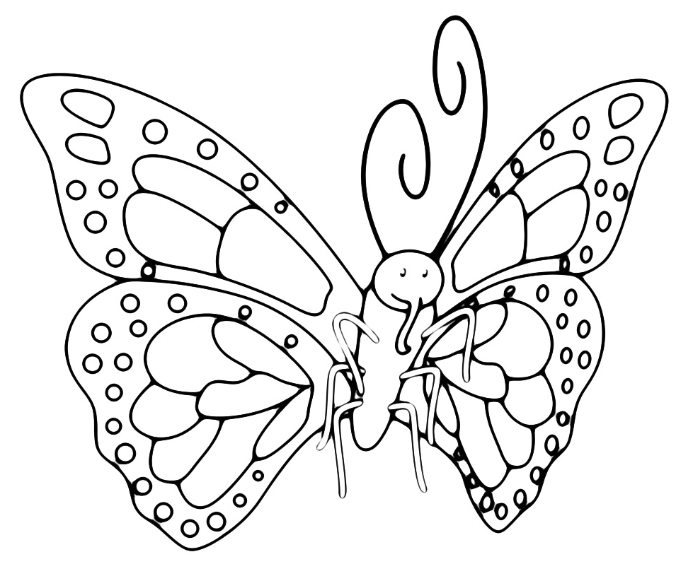 Insects - A butterfly with a beautiful wings design