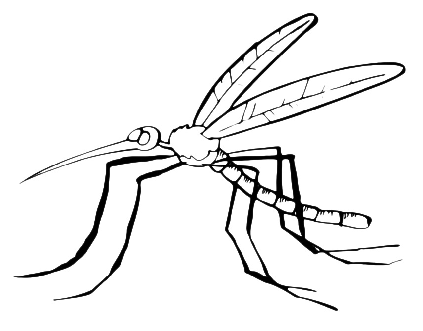 Insects - A stylized mosquito