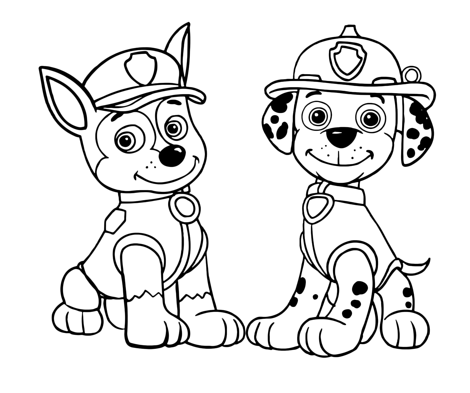  PAW  Patrol  Chase and Marshall  look very curious