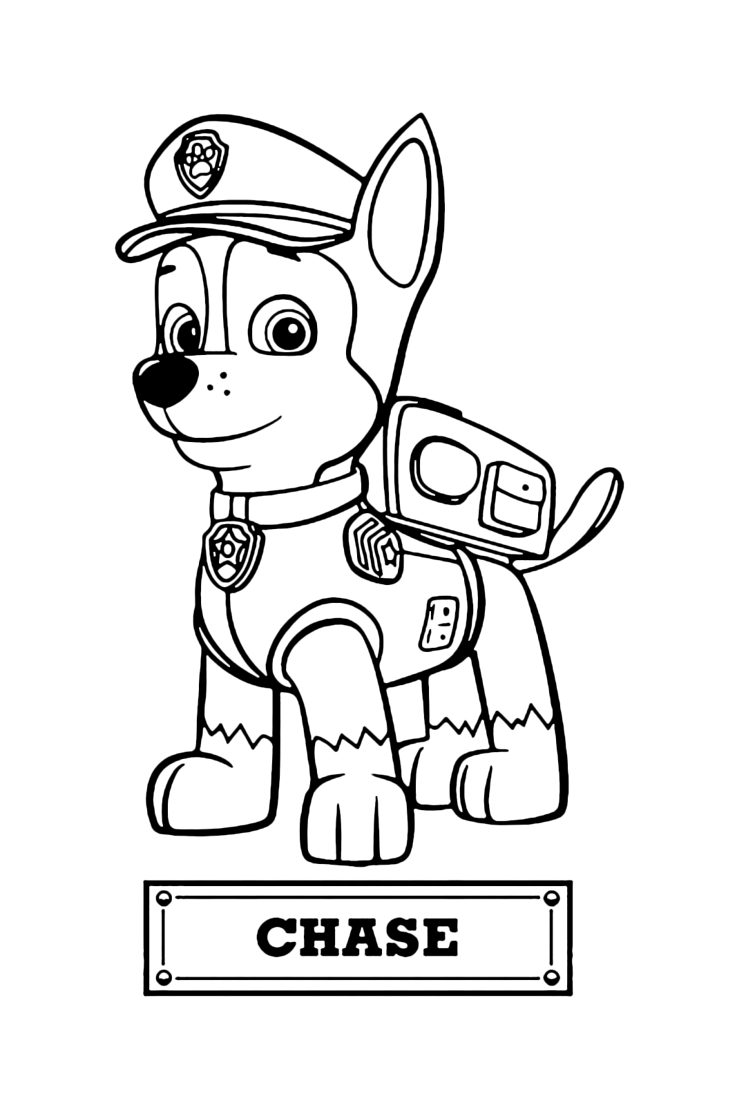 PAW Patrol   Chase the police dog