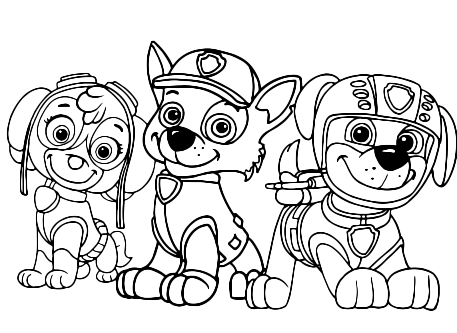 fluweel Ploeg subtiel PAW Patrol - Three members of the Paw Patrol Skye Rocky and Zuma