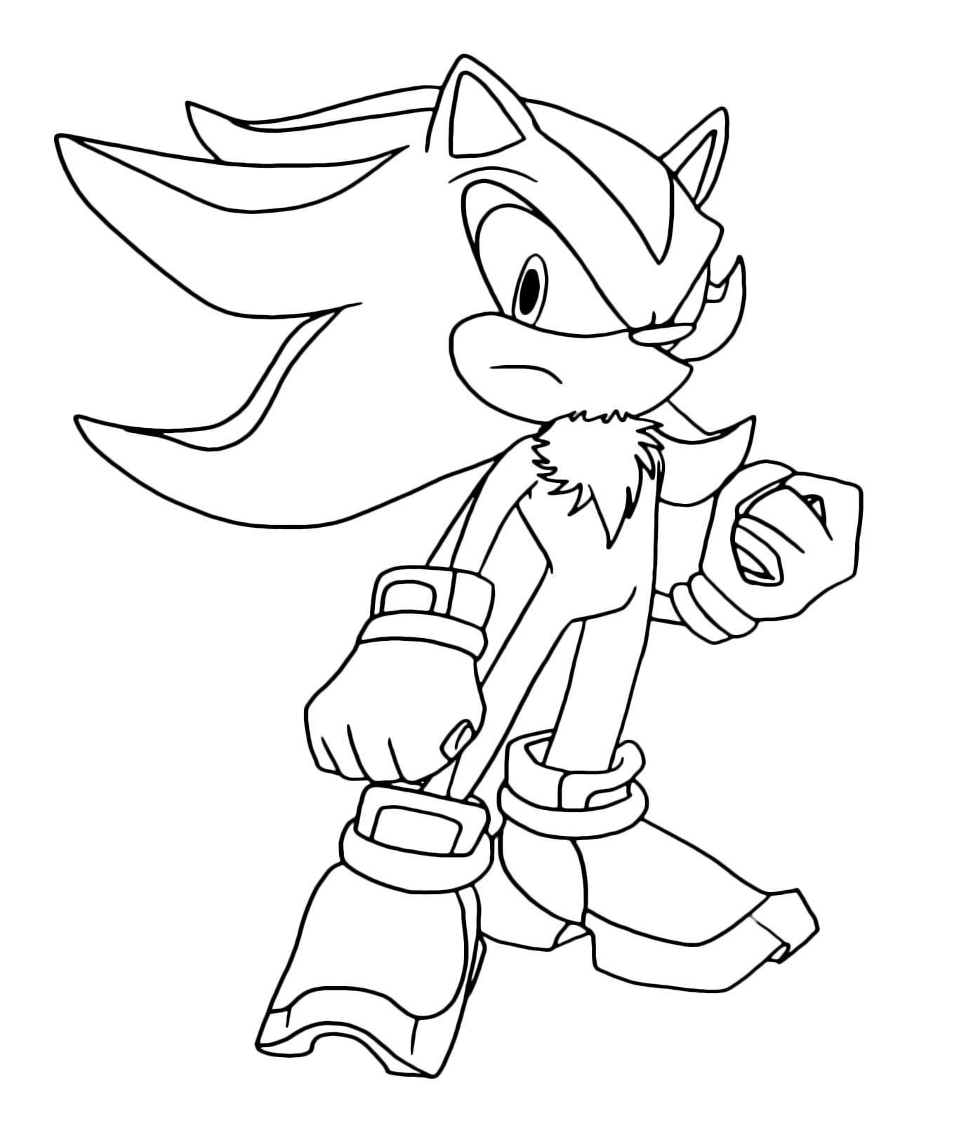 Sonic Boom Shadow With Fists Closed