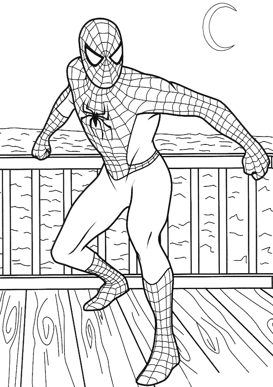 Spiderman - Spiderman on the terrace