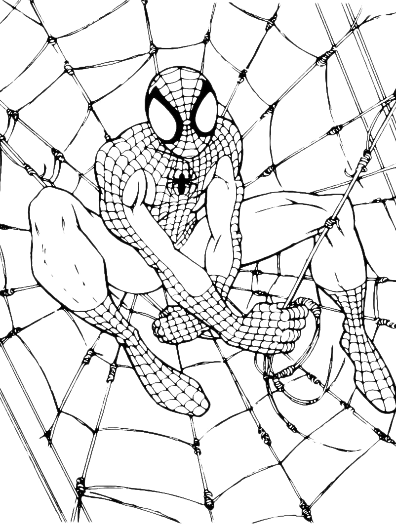 "Spiderman" coloring pages