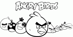 All the Angry Birds