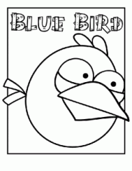 Blu Birds looks a Piggies