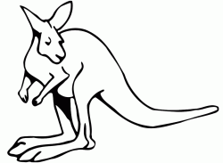 A big kangaroo