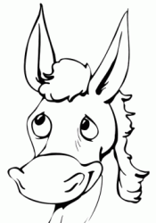 A donkey head