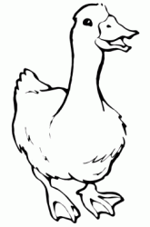 A duck with beak open