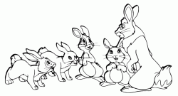 A family of rabbits