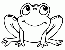 A frog with two big eyes
