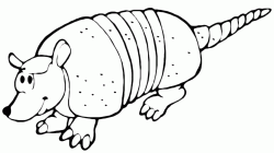 A funny armadillo