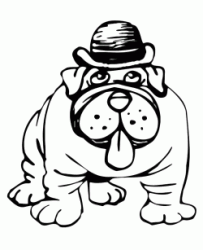 A funny bulldog wearing hat