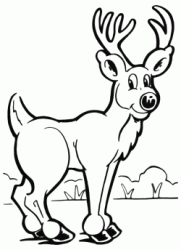 A funny deer