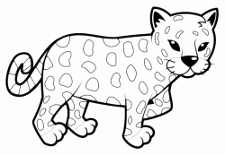 A leopard cub
