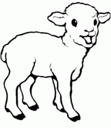 A nice lamb